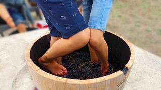 Cosecha: ¡Recoge, tritura y disfruta!