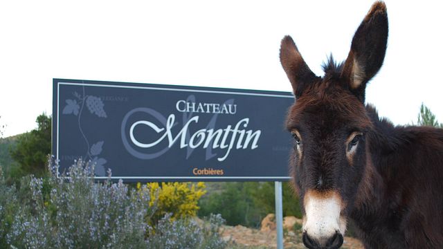 Degustação de vinhos no Château Montfin