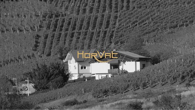Podravska Wine Journey at Winery Horvat