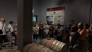 Degustação de vinhos e azeites e visita à cerâmica em Heraclião
