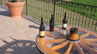 Cata y visita de vinos en Roberto Capecci
