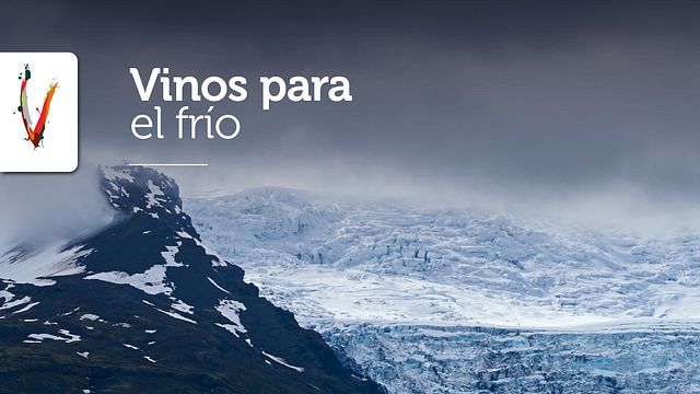 Degustazione e tour Premium di Ventisquero