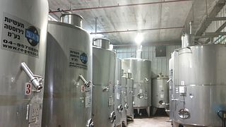 Privat vintur i centrala Israel