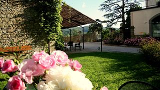 Uncover Tuscan Wines & Olive Oil in a Historic Mill