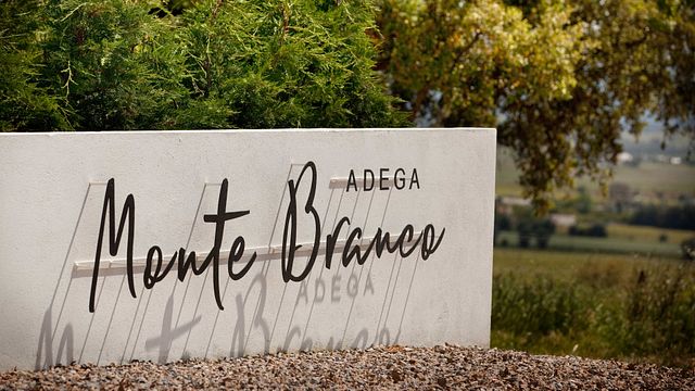 Degustación de Alento | Cata de vinos en Adega do Monte Branco
