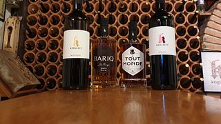 Weinprobe und Tour bei Vina Koglot