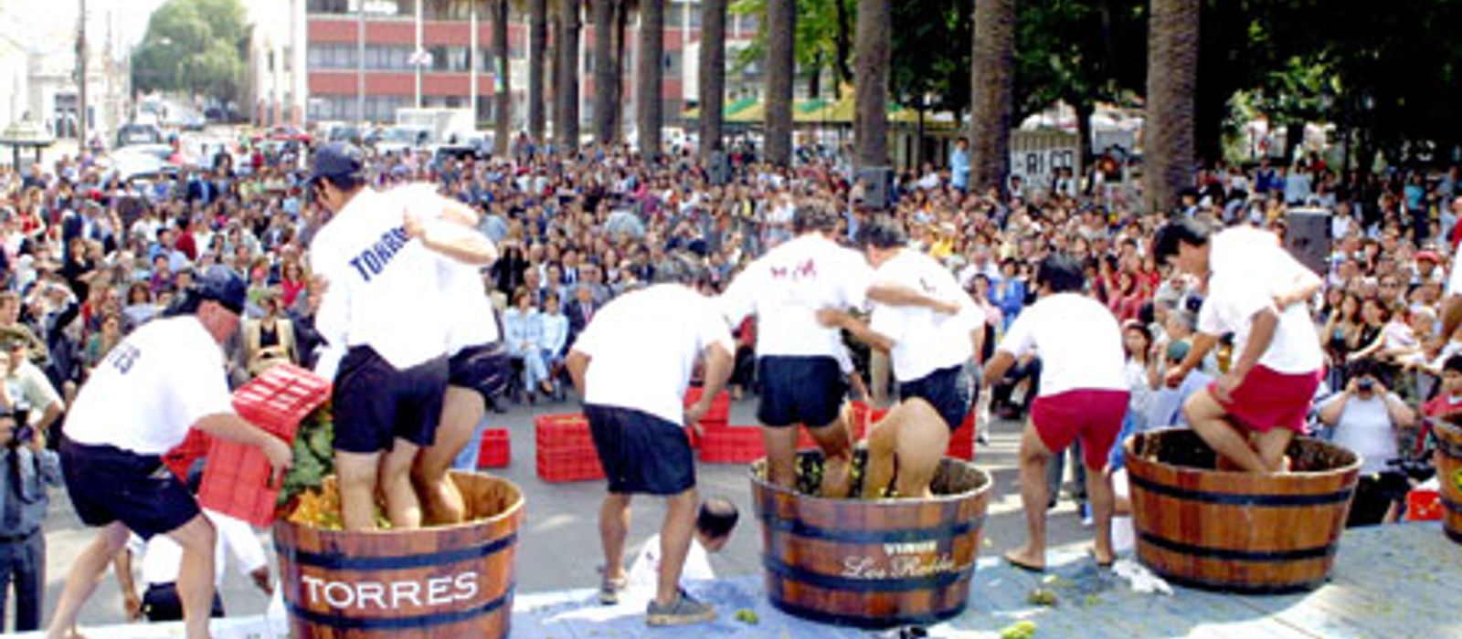 La Fiesta De La Vendimia