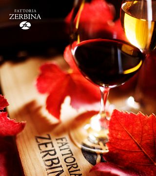 Tour pela vinícola Zerbina Classic