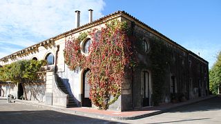 Tenute Mannino di Plachi