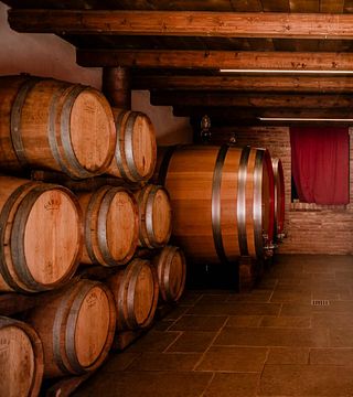 Cata de vinos y visita guiada a la Cantina Oriolo