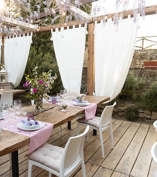 Experience Organic Tuscan Wines at the Estate