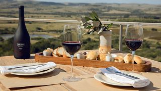 Cata y tour de vinos Premium en Viña Edén