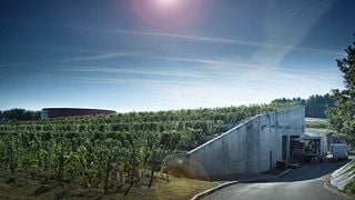 Escape Game Wein und Entdeckung | Pierre & Bertrand Couly