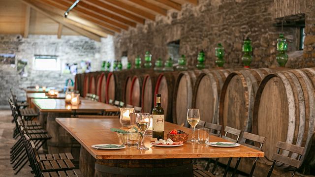 Cata de vinos con aperitivos ligeros y visita a la finca Theotoky