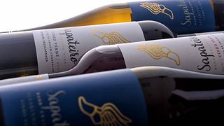 Tábua de Queijos Degustação de Vinhos na Sapateiro Boutique Winery