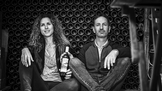 Pratos gourmet e vinhos