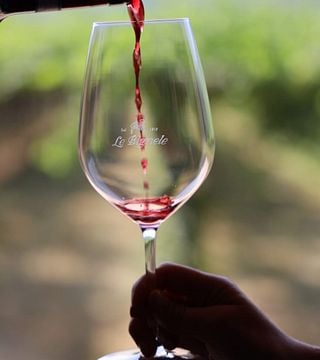 Cata de vinos y visita a la bodega Le Bignele