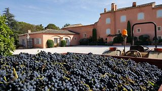 Vinprovning och konstgalleri på Chateau Vignelaure