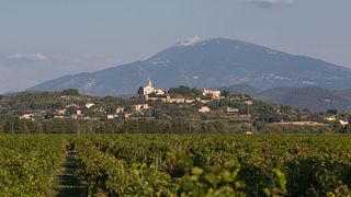 Degustazione di vini nel domaine storico della Valle del Rodano | Dominio del Presidente