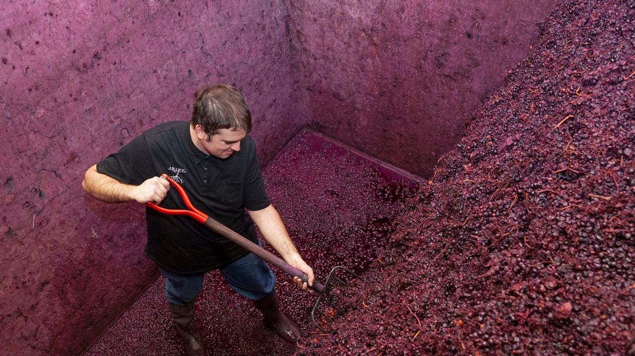 ARAICO WINERY