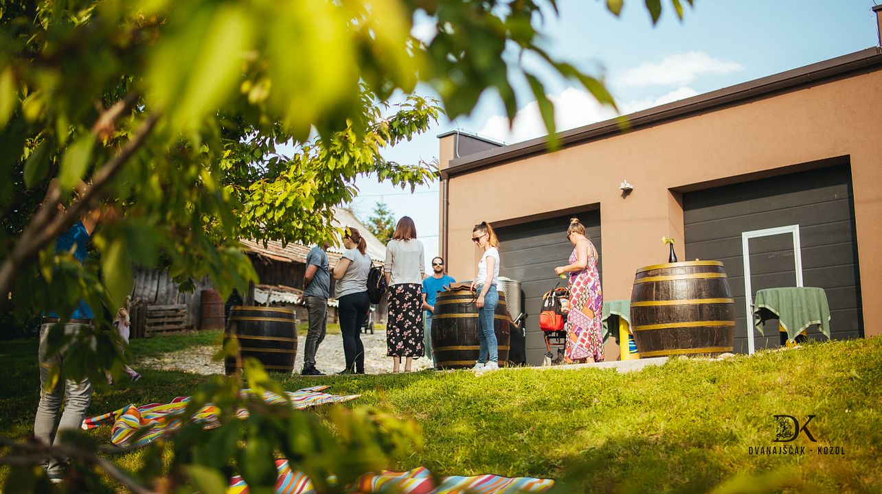 Dégustation de vins et visite du domaine viticole DK