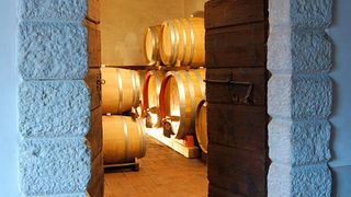 Amarone vinprovning
