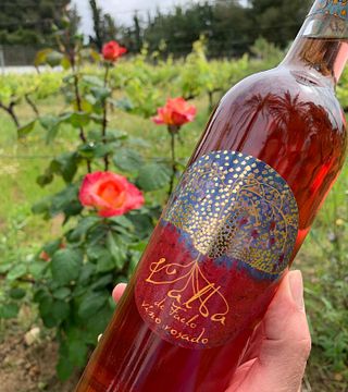Bodegas Faelo