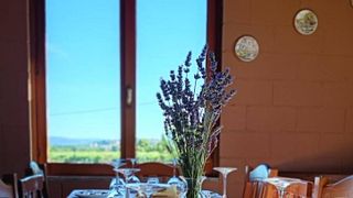 FROM VINEYARD TO GLASS: CHIELISÒ EXPERIENCE - OUR LAND, OUR WINE, OUR STORY