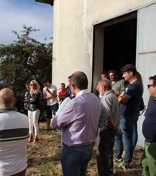 Immerse Yourself in Lombardy’s Scenic Vineyard Tasting