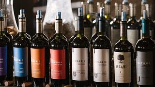 El Elegido - Cata de vinos en Lamadrid Estate Wines