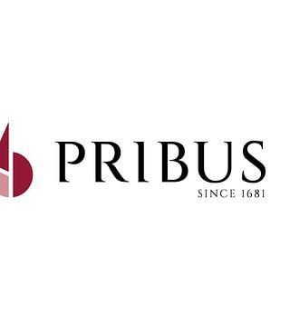 Klassisk vinprovningsupplevelse på Tenuta Pribus