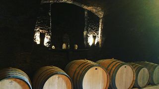 M-enostavno dobra vina