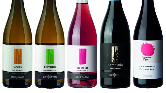 Besichtigung und Verkostung in der Höhle der Cantina Giacomo Simone