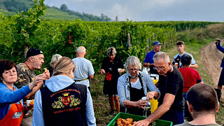 Domaine Sylvie Fahrer & Fils