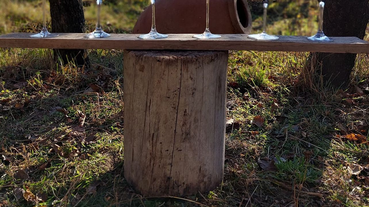 Dégustation de vins au domaine Napheri