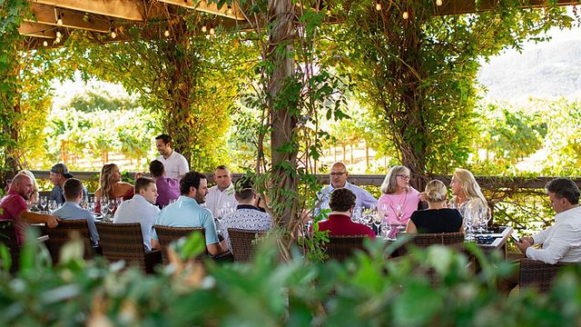 Honig Vineyard and Winery