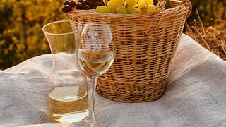 Tour di degustazione allo Chateau Chizay