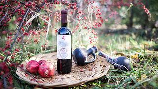 Demi's Winery