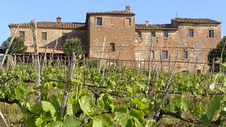 Visite et dégustation de vins premium du Nobile di Montepulciano au Palazzo Vecchio