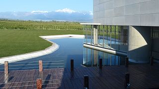Tour e degustazione di vini in cantina | Don Manuel Villafañe