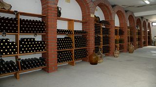 Dégustation de vins à la cave Jostela