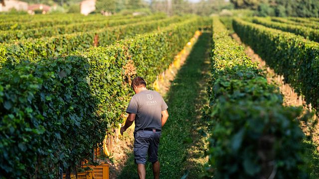 Turra Franciacorta Winery