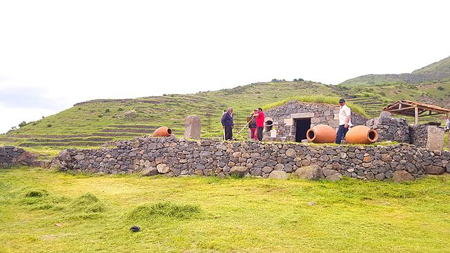Dégustation de vins et visite de la cave à vin de Natenadze