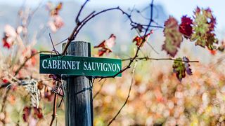 Degustazione di vini e tour a Le Manoir De Brendel
