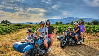 Halvdags vintur i Provence