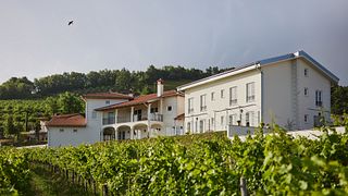 Villa de luxe à usage exclusif - Peterc Vineyard Estate