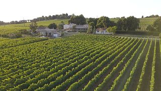 Château Maine Gazin