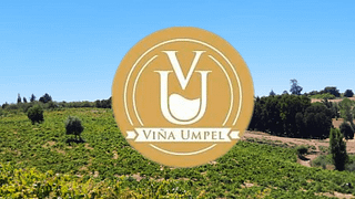 Viña Umpel
