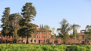 Château Saint-Roux: A Gem in Provence