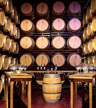 Dégustation de vins et visite des Bodegas Viña Mayor